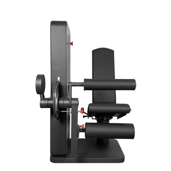 Kniebeuger (sitzend) - Physio
