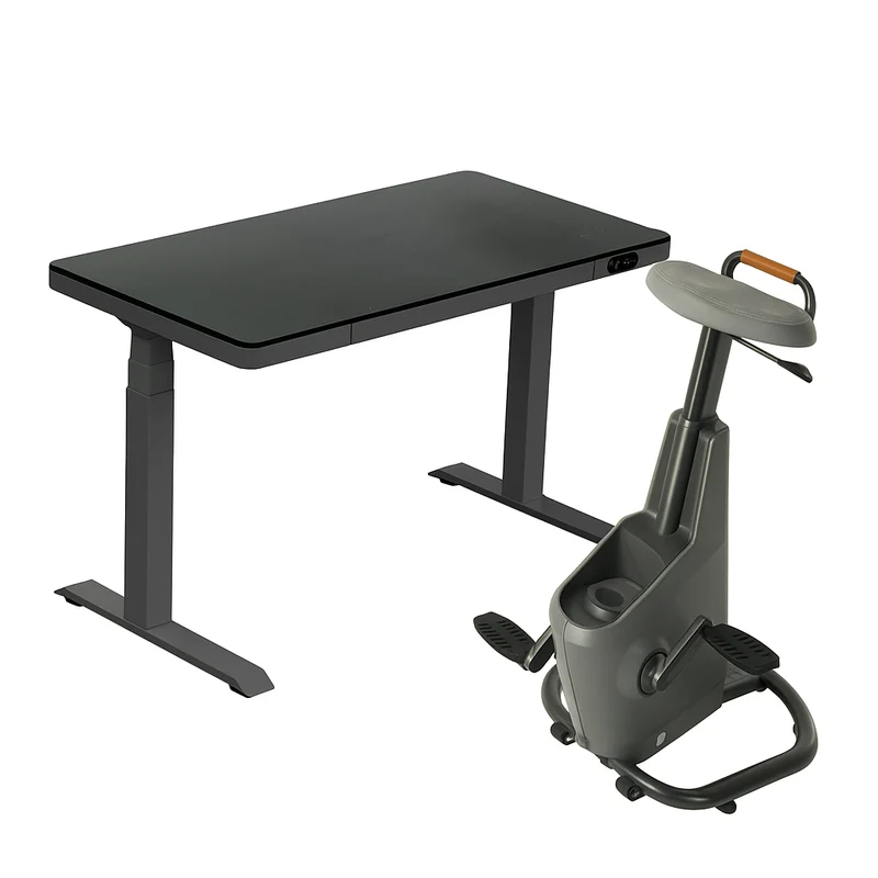 LifeSpan Glass Standing Desk