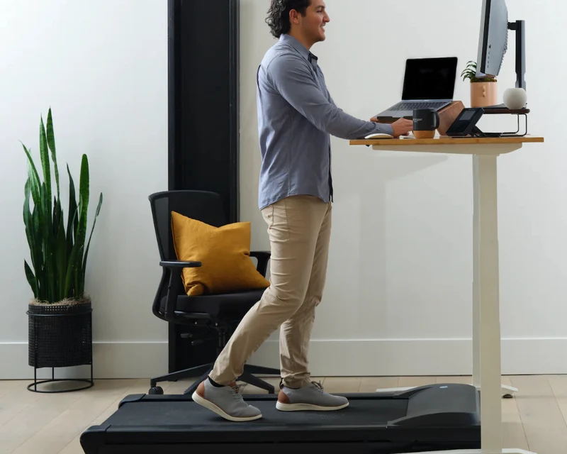 LifeSpan Standing Desk