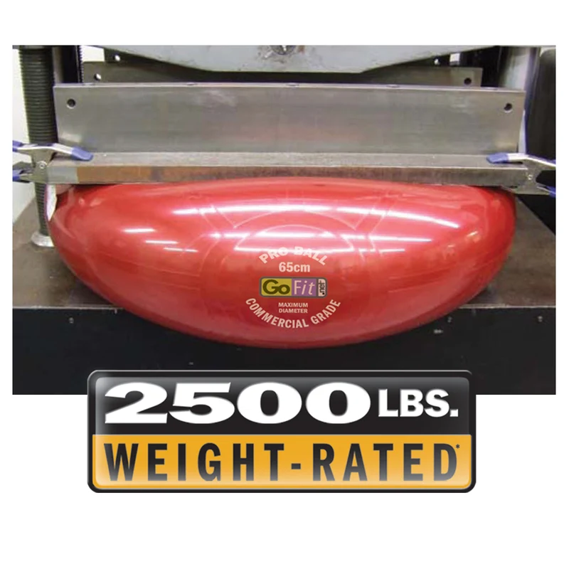 Super Ball - Commercial Grade Stability Ball