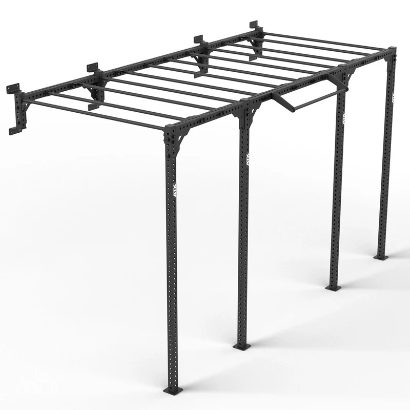 ATX® Functional WALL RIG 700 - Ladder 3