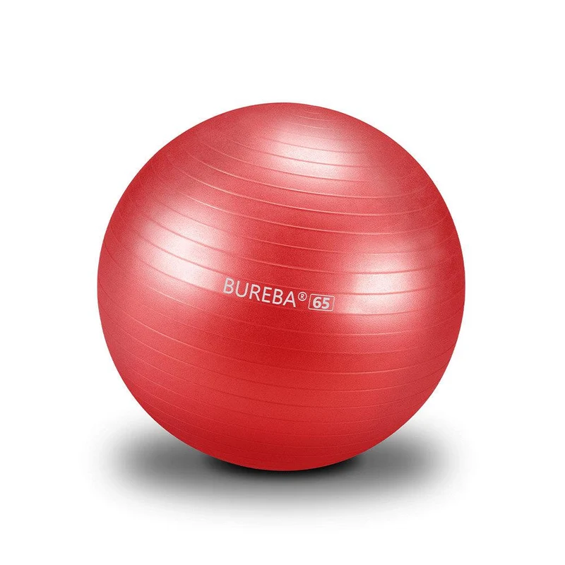 Gymnastikball Professional - 55/ 65/ 75 cm