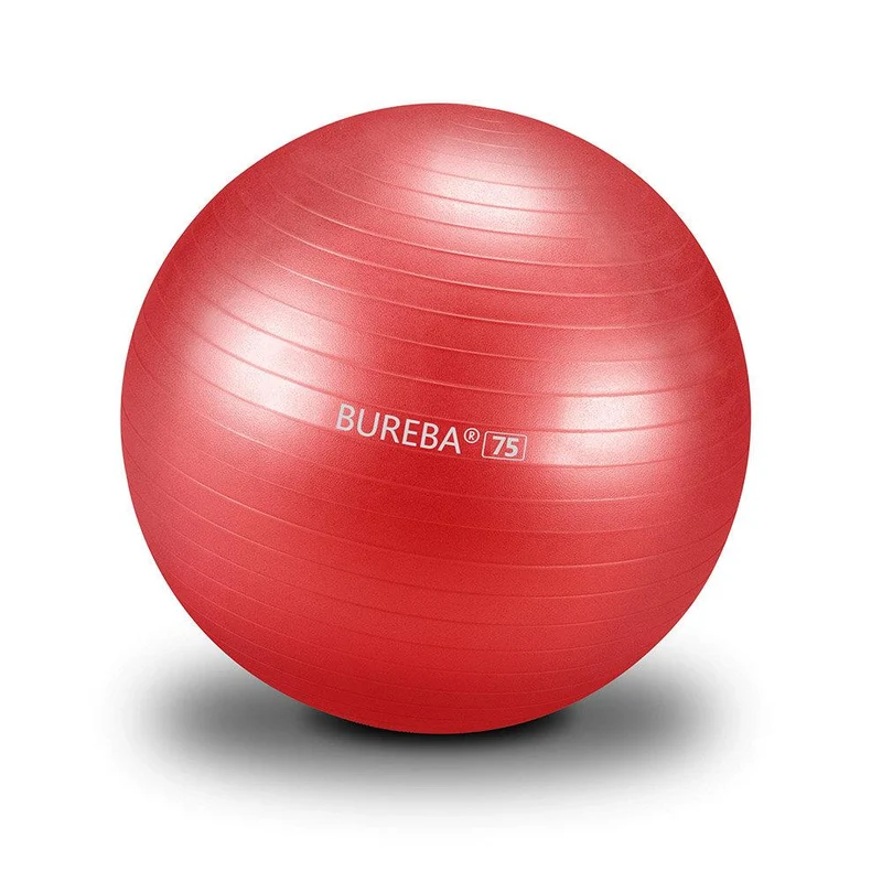 Gymnastikball Professional - 55/ 65/ 75 cm