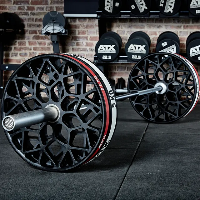 ATX® Hantelscheibe -Technikscheibe - Abwurftraining 2,5 + 5 kg