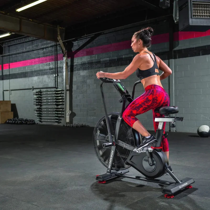 Schwinn Fitness Airdyne AD8i Bike