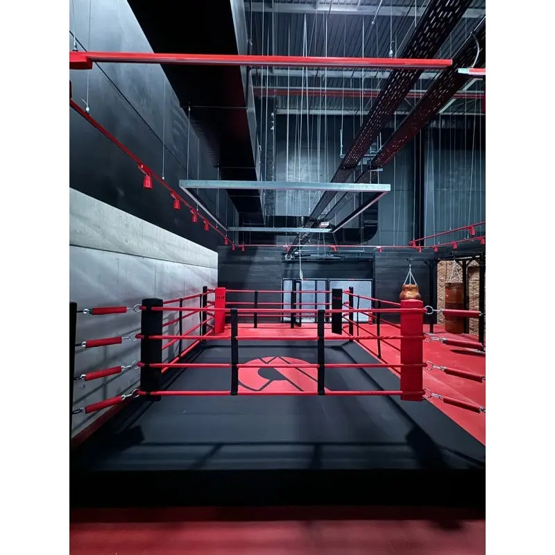 Pro-Trainingsboxring mit 30 cm Podium