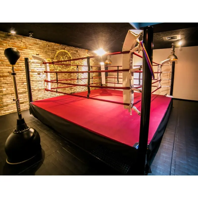 Pro-Trainingsboxring mit 50 cm Podium – 4×4 bis 6×6 m