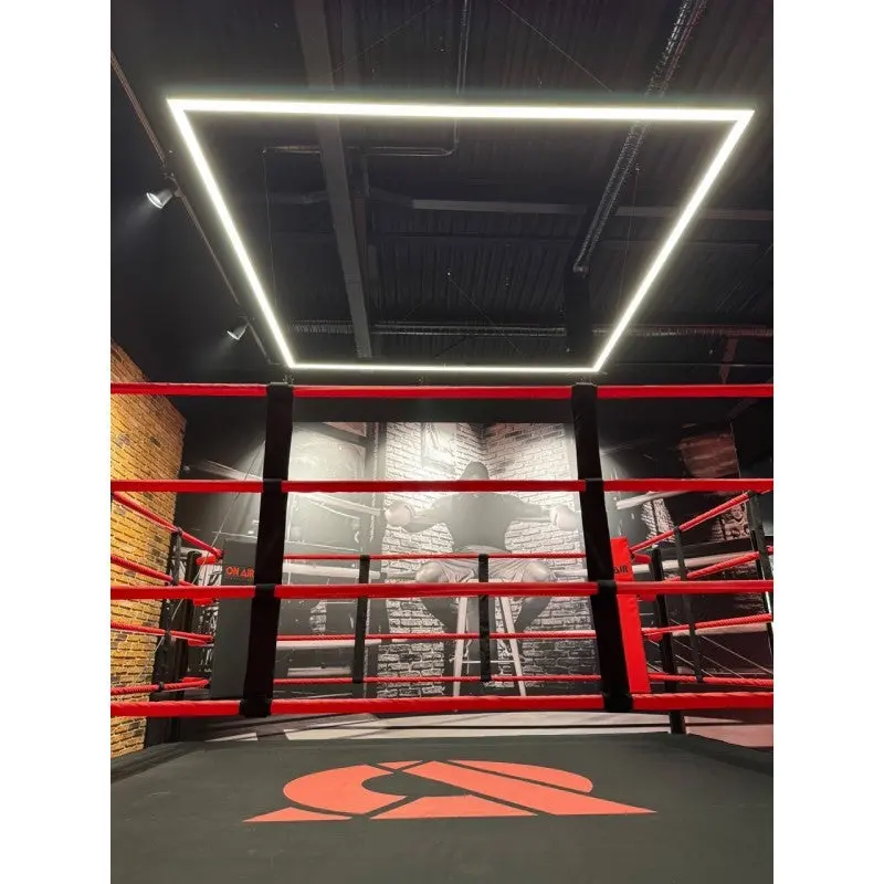 Trainingsboxring-Seile mit Hüllen