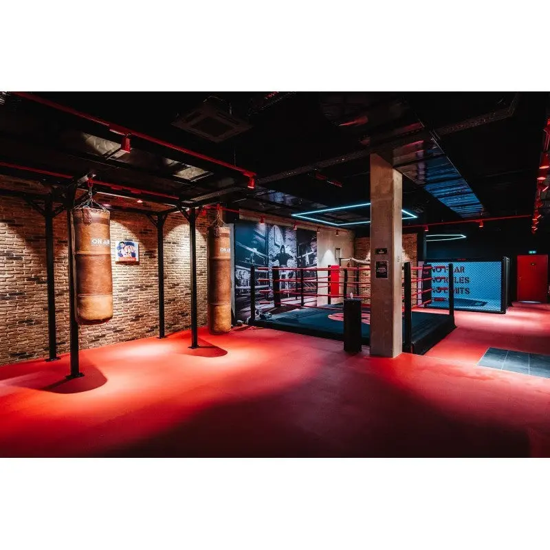 Proboxe Wandstation – 2, 3 oder 4 Sandsäcke, 2,70 m hoch