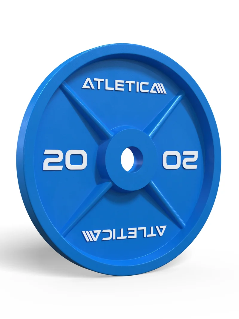 Color Iron Plates I 20kg I Paar