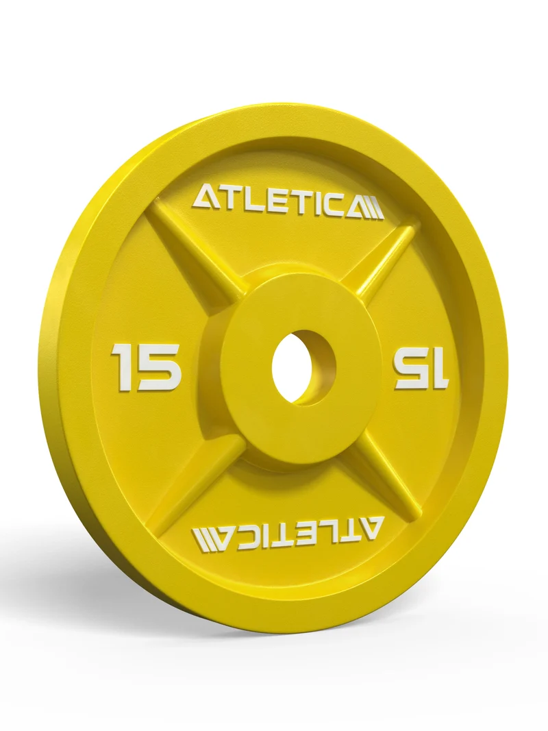 Color Iron Plates I 15kg I Paar