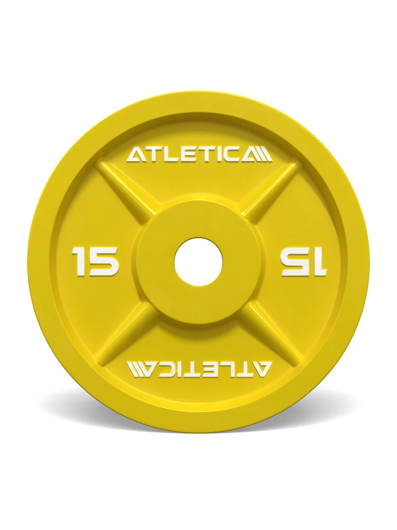 Color Iron Plates I 15kg I Paar