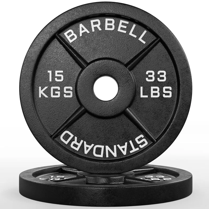 Classic Iron Plates | Paar | 15kg