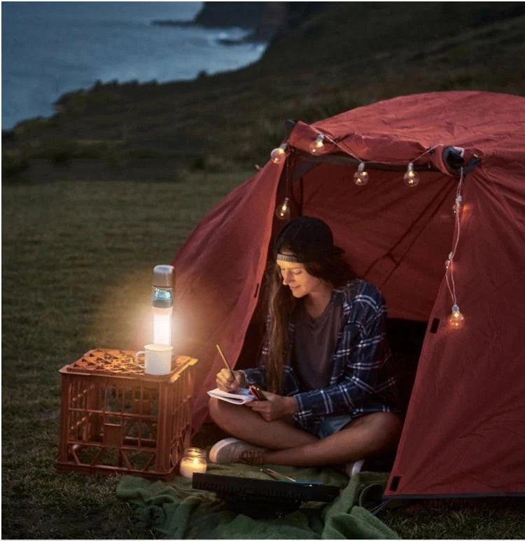 Multifunctional Camp Tool