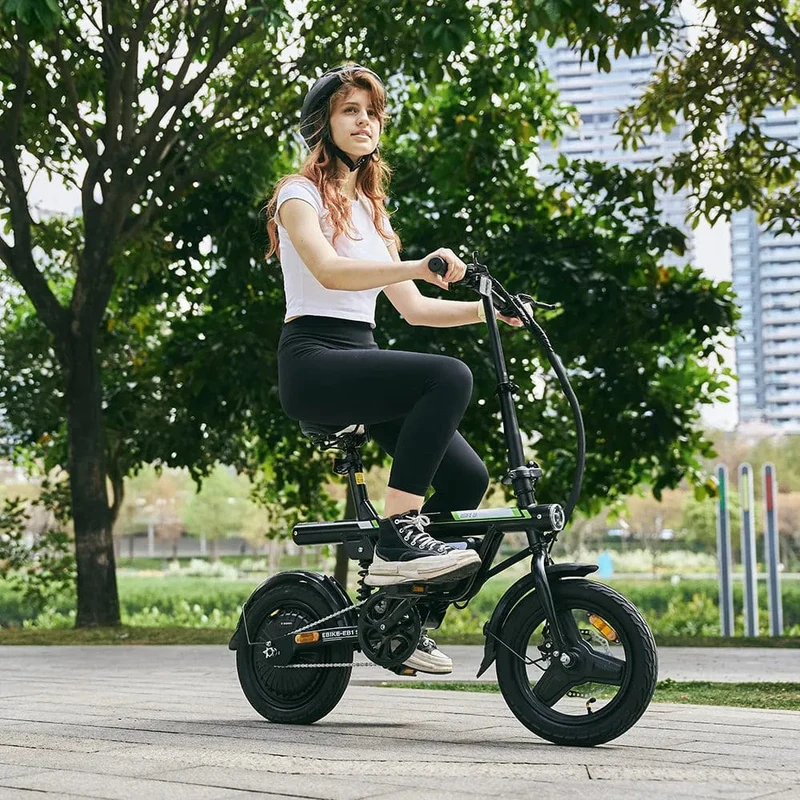 EB1S Folding Electric Bike 250W