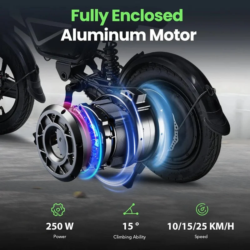 EB1S Folding Electric Bike 250W