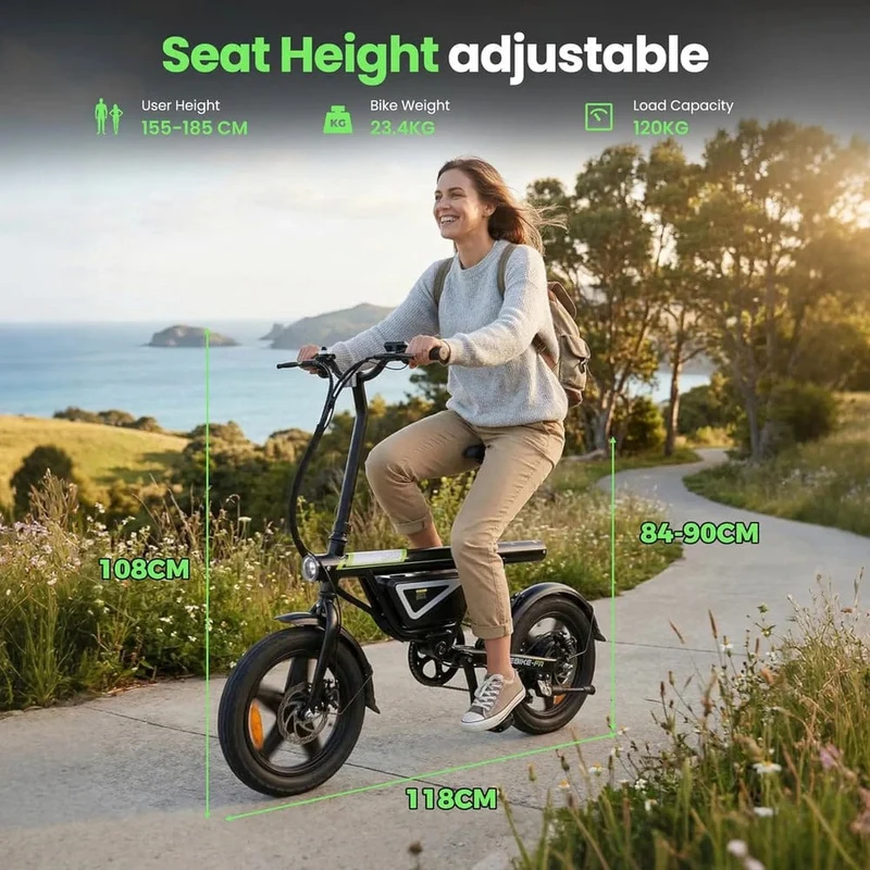 EB1S Folding Electric Bike 250W