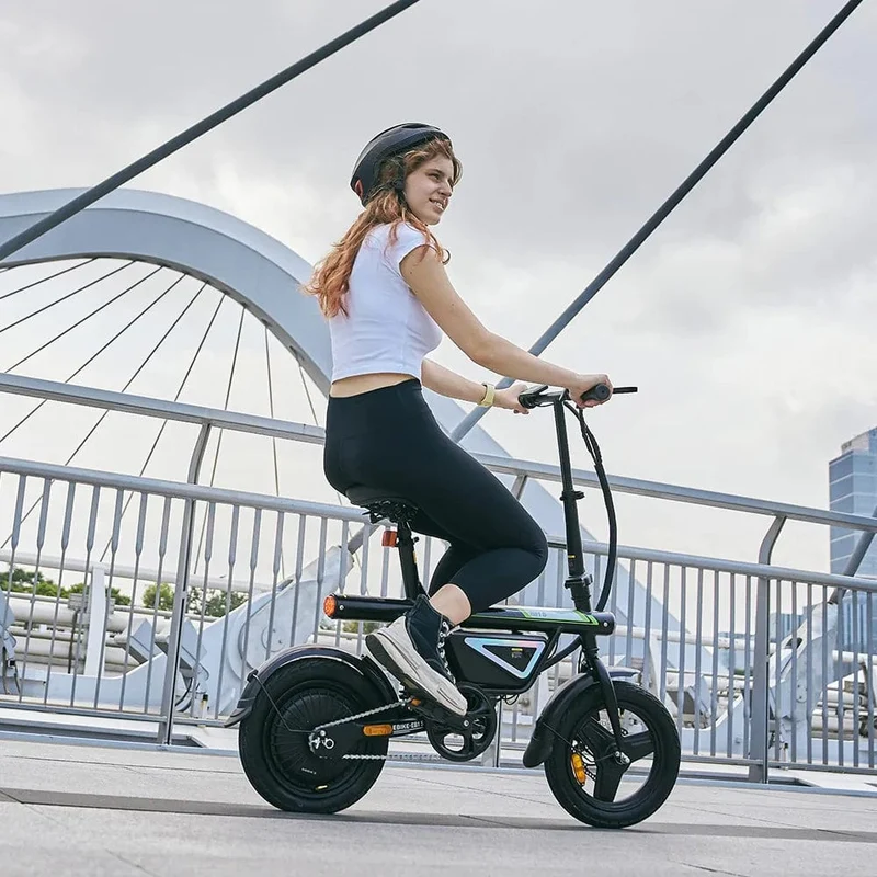 EB1S Folding Electric Bike 250W