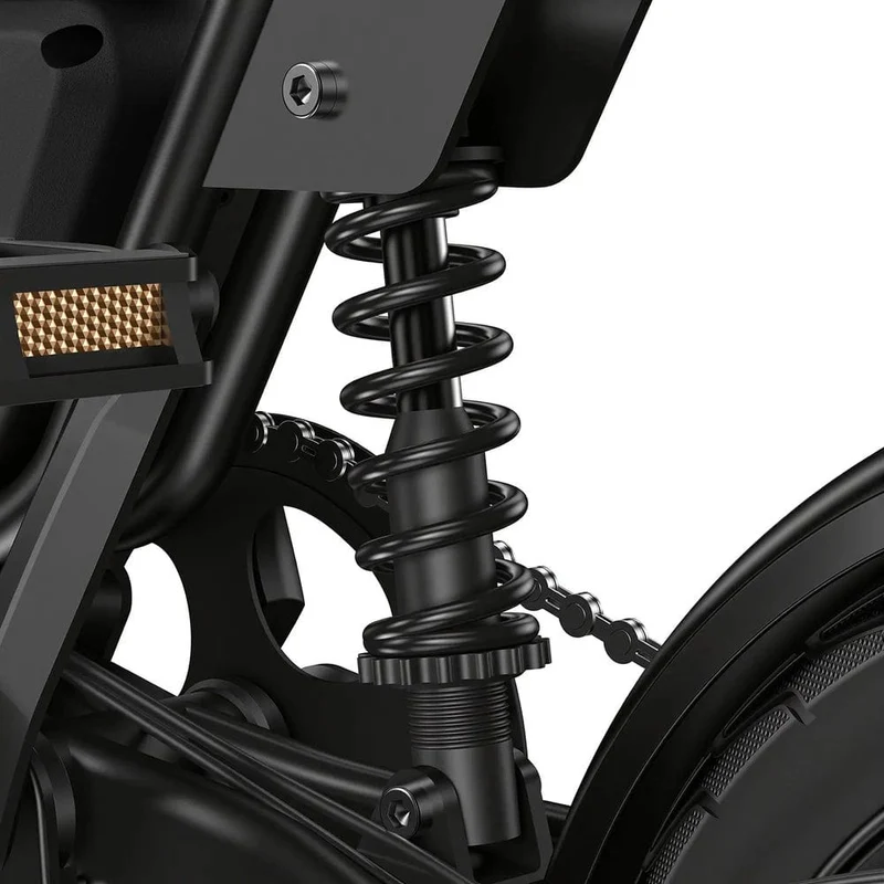 EB1S Folding Electric Bike 250W