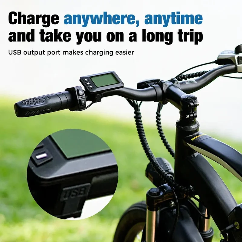 EB3 Electric Bicycle with CE Certificate, 26" Tires, 100 km Range