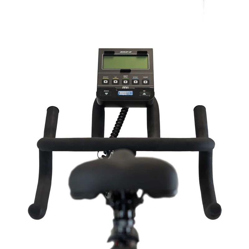 BH Fitness Xcalibur Magnetic Indoor Bike