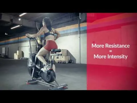 Schwinn Ergometer Airdyne AD8 Pro