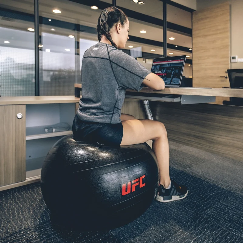 UFC FITBALL Gymnastikball