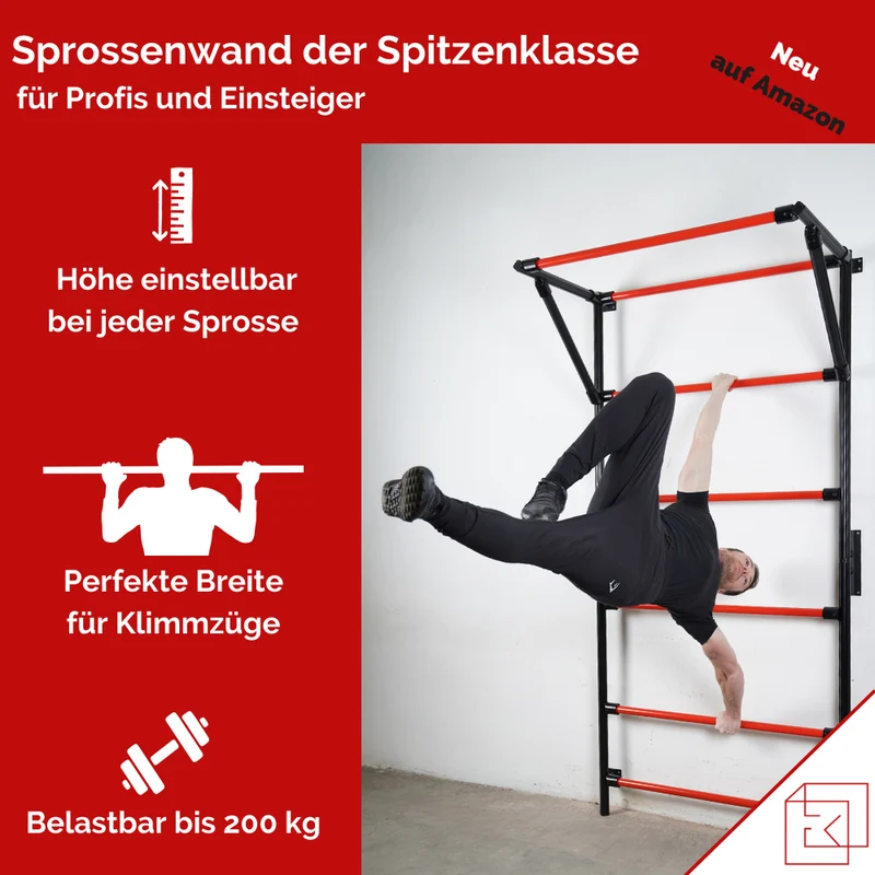 SPROSSENWAND MIT KLIMMZUGSTANGE