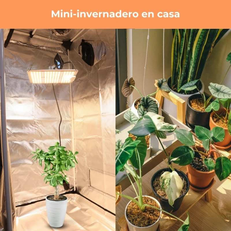 Growzelt | Wasserdicht | Schwarz | Nylon | Max. Belastung 28 kg | Abnehmbarer Boden | Haltestangen | Growbox | Mobiclinic
