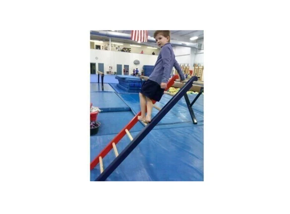 MGS Wooden Ladders