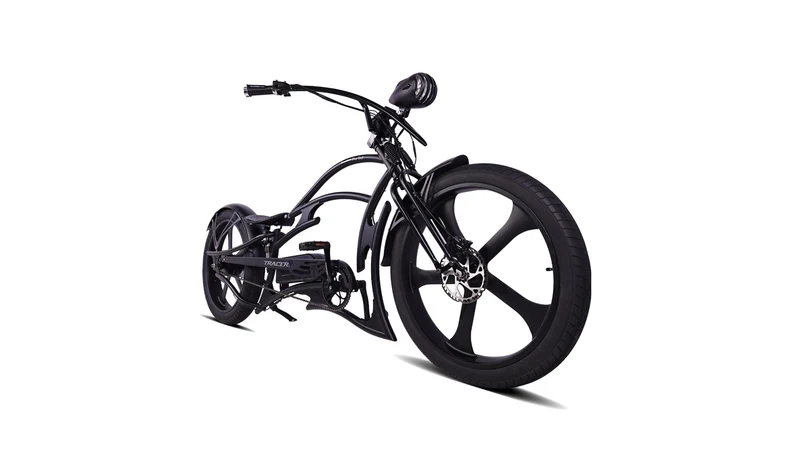 Raptor Pro DS 800W Stretch Cruiser Ebike