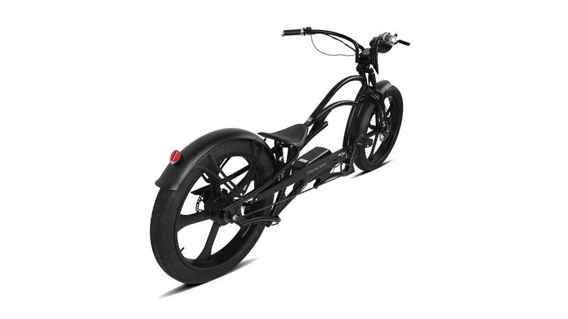 Raptor Pro DS 800W Stretch Cruiser Ebike