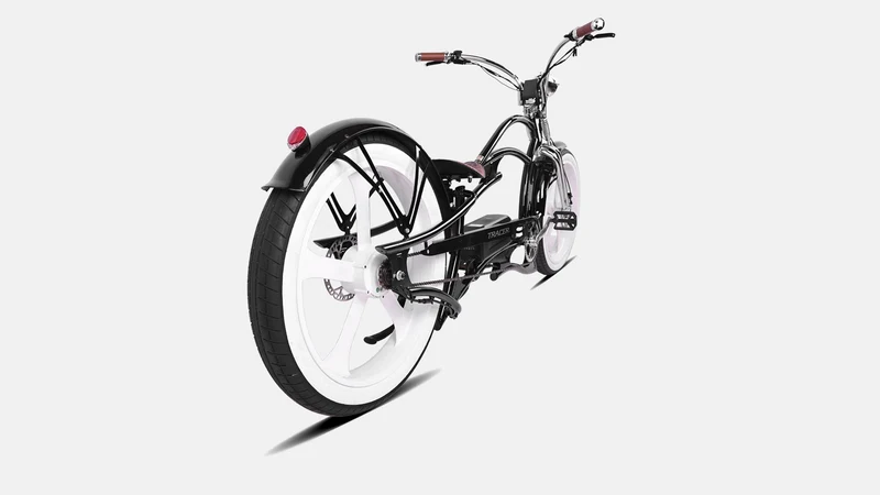 Raptor Pro DS 800W Stretch Cruiser Ebike