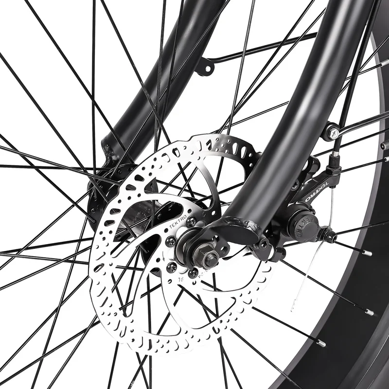 Tracer Loiter 26" 48V 800W Cruiser E-Bike