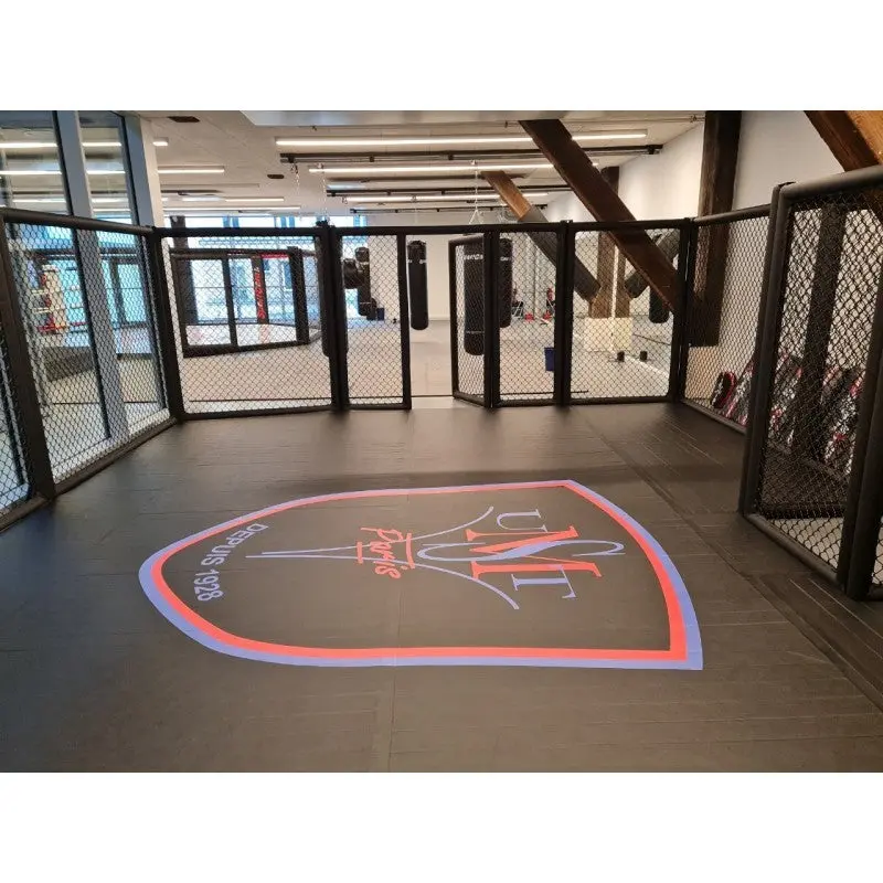 MMA-Paneel mit Tür – 4 Polster | 1,75 bis 2,50 m × 1,93 m